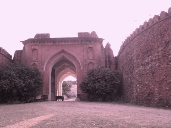 fort of awagarh